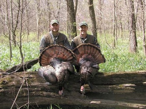 Turkey Hunts Photo